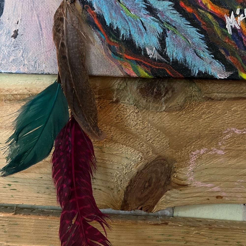 Colorful Feather earrings - Picture 5 of 7